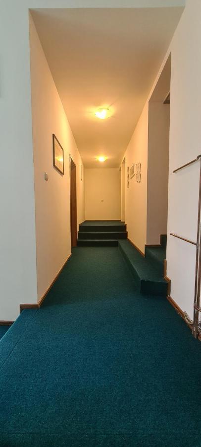 Guest House Tiha Noc Žabljak Buitenkant foto